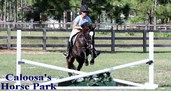 Equestrians Always Welcome!